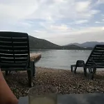 Ivica *