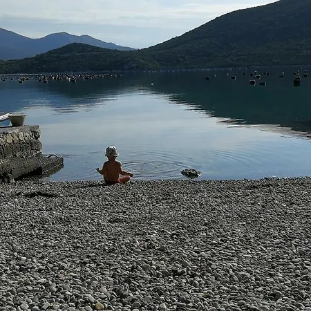 Ivica Daire