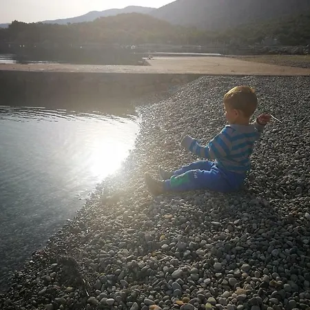 Ivica *