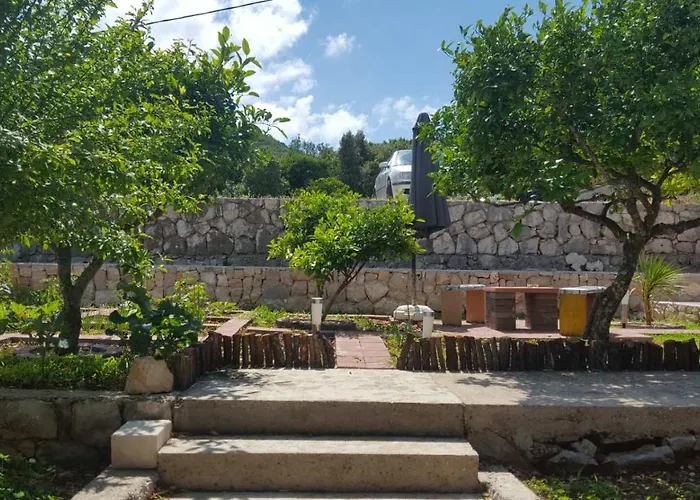 Апартаменты Ivica *